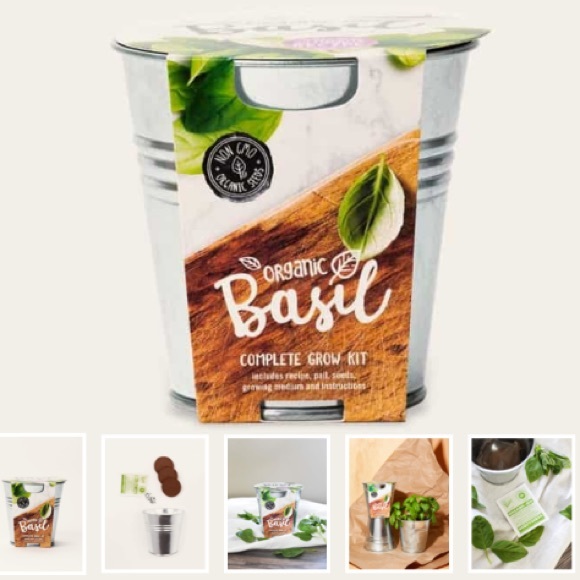 NEW Organic Basil Grow Kit - Picture 3 of 6